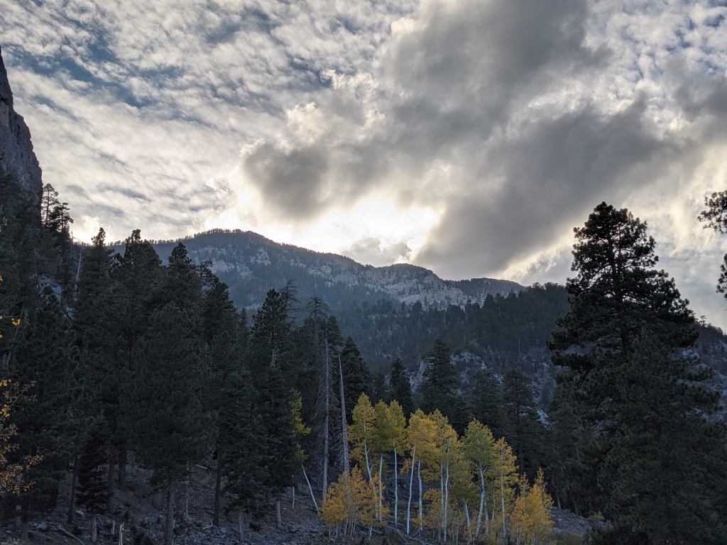 A photo near Mt. Charleston in Las Vegas, Nevada. Green and yellow-leafed trees are in the forefront. The mountain rises in the background. The sky is grey and cloudy with the sun breaking through.